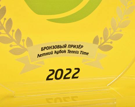 Пример работ «Награды» №43