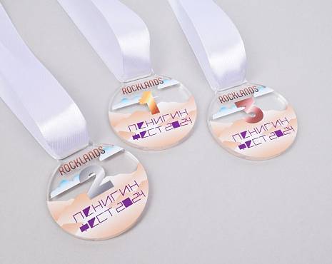 Пример работ «Мерч» №219