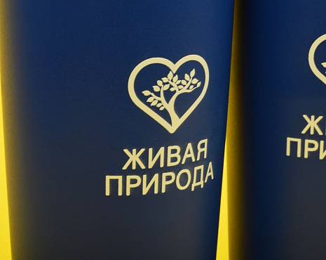 Пример работ «Посуда» №99