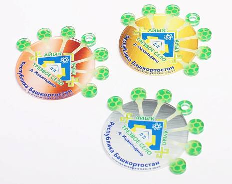 Пример работ «Медали» №34