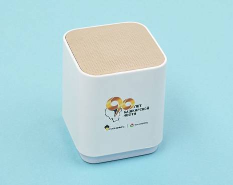 Пример работ «Электроника» №30