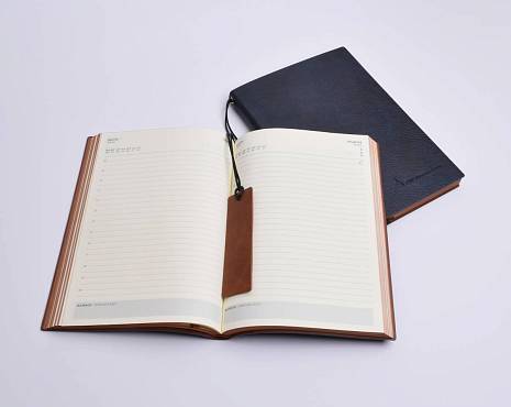 Пример работ «Ежедневники и блокноты» №8