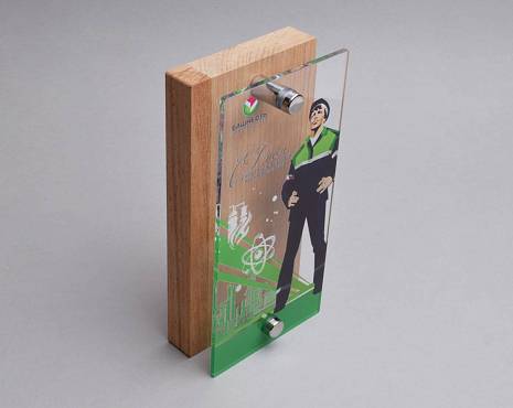 Пример работ «Награды» №8