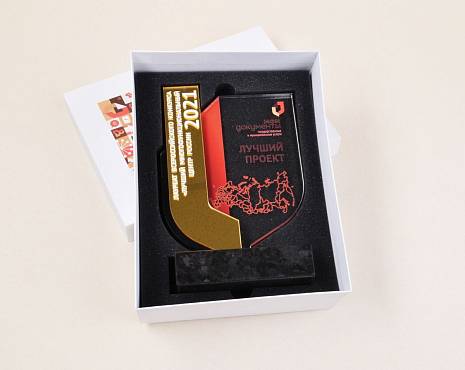 Пример работ «Награды» №59