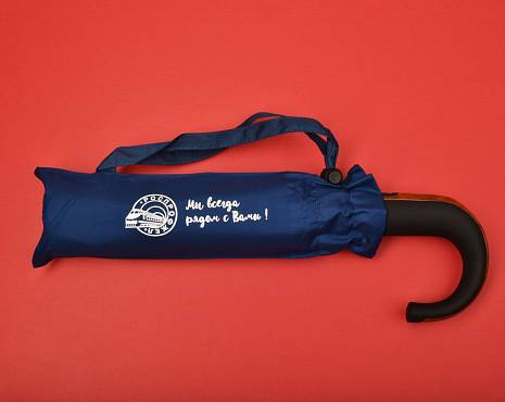 Пример работ «Зонты» №18