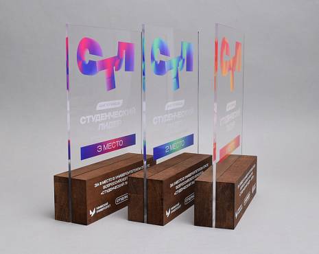 Пример работ «Награды» №2