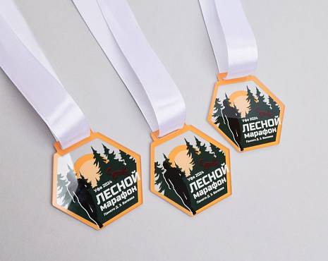 Пример работ «Медали» №10