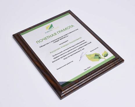 Пример работ «Подарочные плакетки» №19