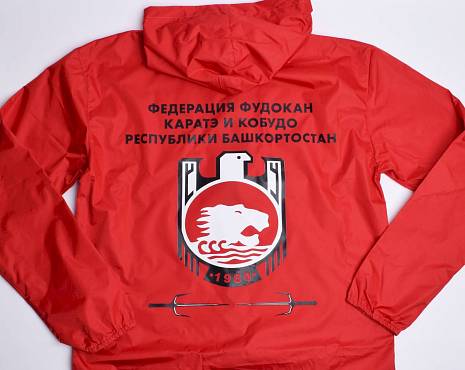 Пример работ «Технология DTF» №18