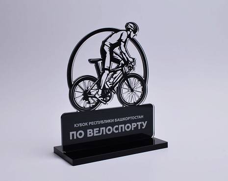 Пример работ «Награды» №80