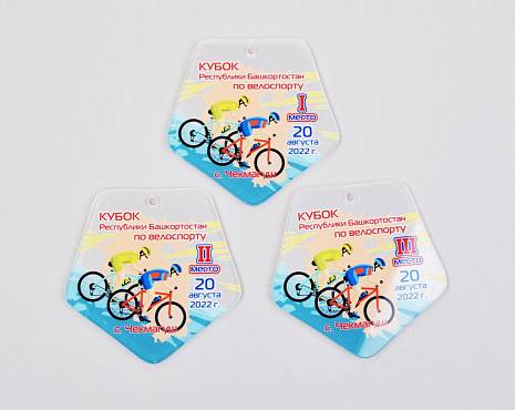 Пример работ «Медали» №52