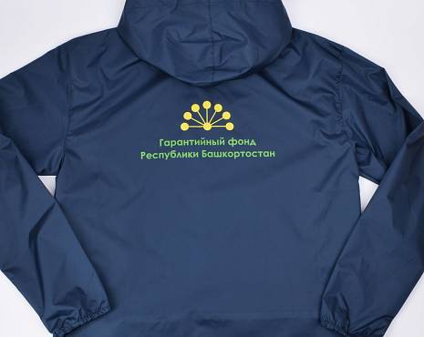 Пример работ «Одежда» №113