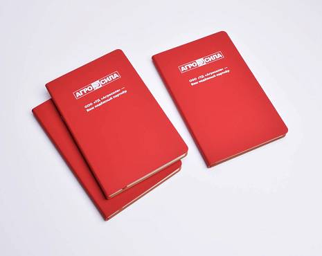 Пример работ «Ежедневники и блокноты» №3