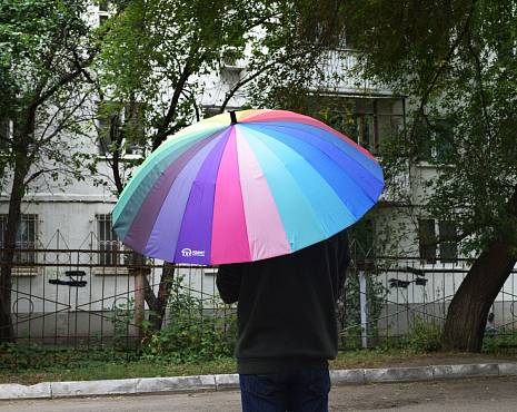 Пример работ «Зонты» №16