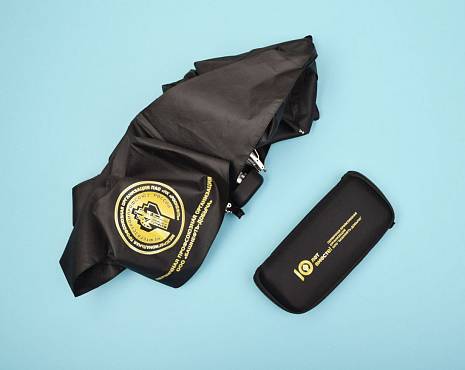 Пример работ «Зонты» №26