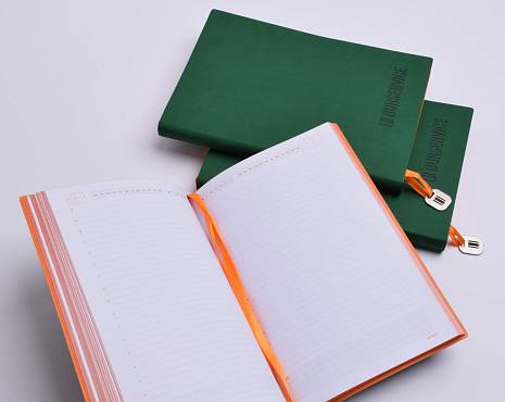 Пример работ «Ежедневники и блокноты» №97