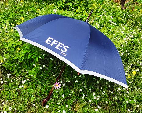 Пример работ «Зонты» №5