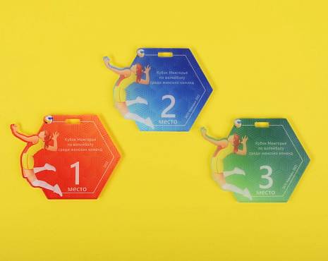 Пример работ «Медали» №50