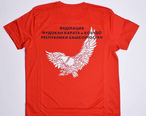 Пример работ «Технология DTF» №17