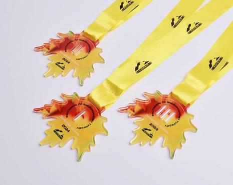 Пример работ «Медали» №66