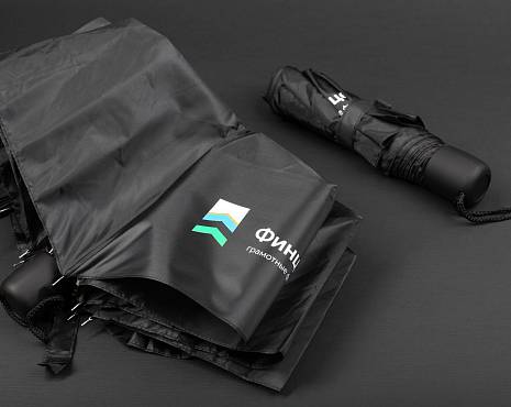 Пример работ «Зонты» №7