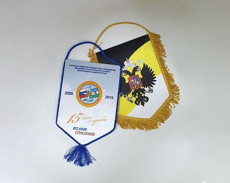 Пример работ «Награды» №15