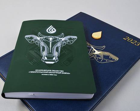 Пример работ «Ежедневники и блокноты» №52