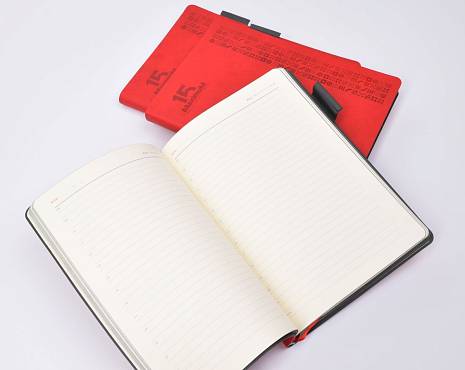 Пример работ «Мерч» №233