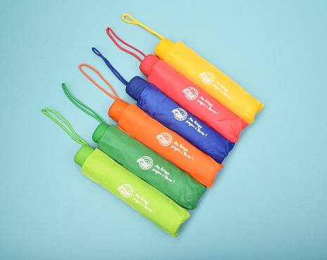 Пример работ «Зонты» №14