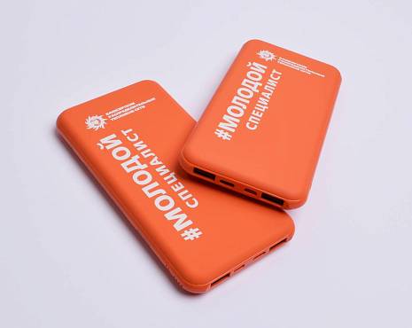 Пример работ «Мерч» №113