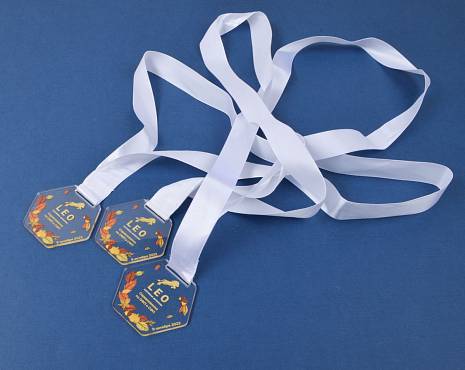 Пример работ «Медали» №48