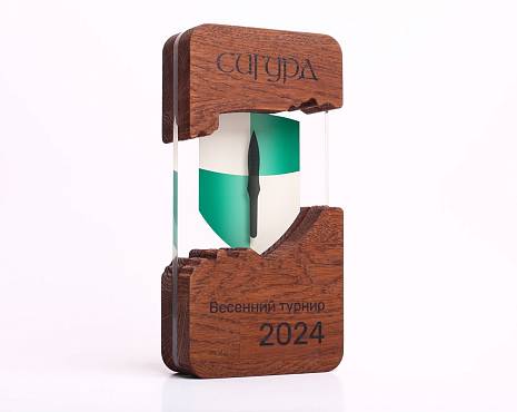 Пример работ «Мерч» №240