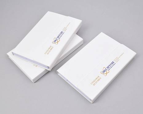 Пример работ «Мерч» №230